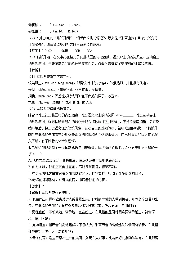 山东省泰安市东平县2025年中考一模考试语文试题（解析版）第3页
