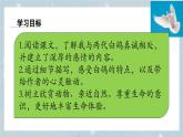 部編版2025-2026年第一學(xué)期 七年級 語文上冊  第五單元  18我的白鴿  課件