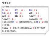 部編版2025-2026年第一學(xué)期 七年級 語文上冊  第五單元  18我的白鴿  課件