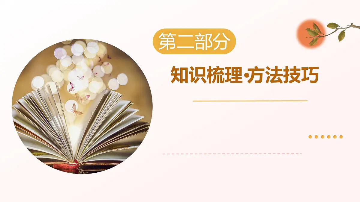 专题09：说明文阅读（考点串讲）2025学年八年级语文下学期期末考点大串讲（统编版）课件第7页