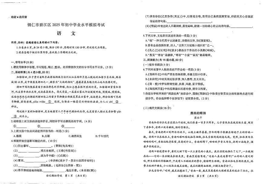 2025年贵州省铜仁市碧江区中考模拟预测语文试题（中考模拟）第1页