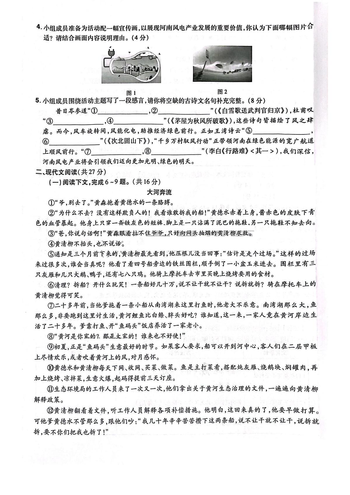 2025年河南省驻马店市平舆县平玉二中、一中中考三模语文试题（中考模拟）第2页
