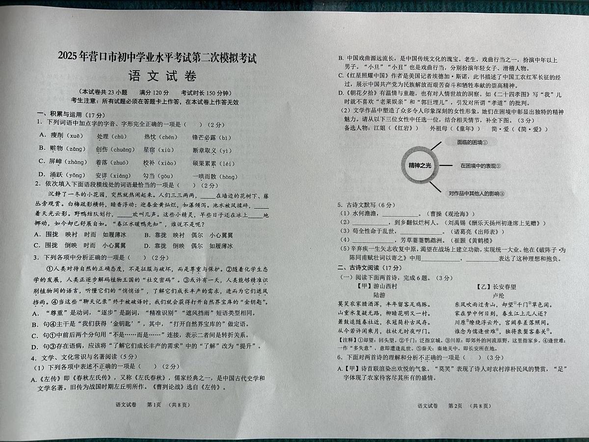 2025年辽宁省营口市中考二模语文试题（中考模拟）第1页