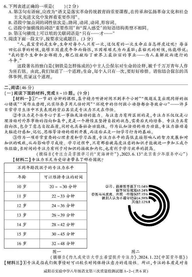 陕西省咸阳市实验中学2024-2025学年八年级下学期第三次质量检测试语文试卷第2页
