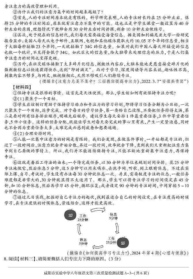 陕西省咸阳市实验中学2024-2025学年八年级下学期第三次质量检测试语文试卷第3页