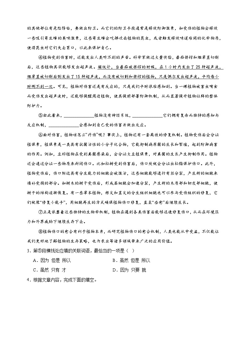 上海卷-2024-2025学年七年级下学期语文第三次月考试卷（含答案解析）第3页