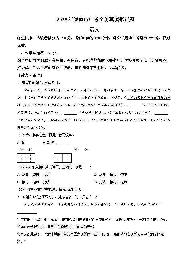 2025年甘肃省陇南市模拟语文试题（中考模拟）第1页