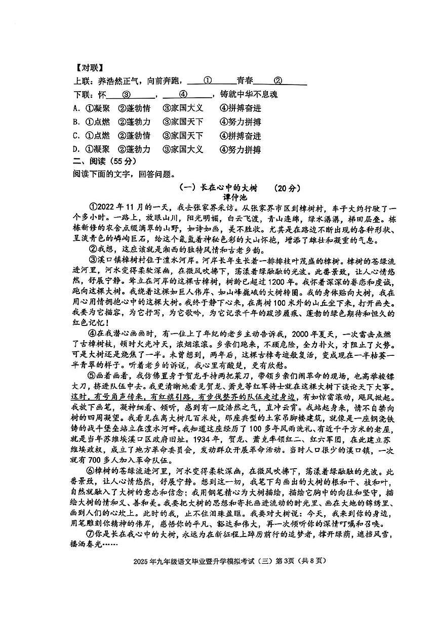 2025年安徽省芜湖市九年级中考三模语文试卷（PDF版，含答案）第3页