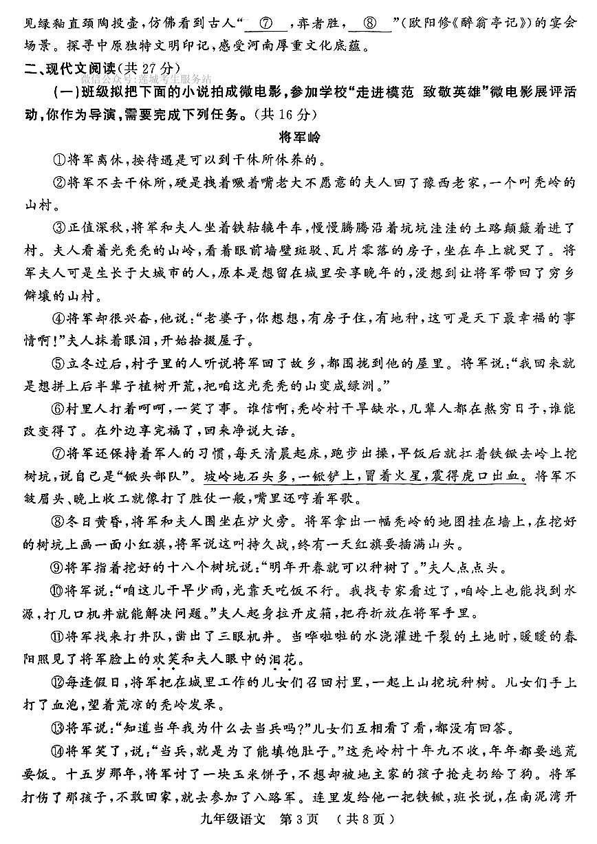 2025年河南省驻马店市中考二模语文试题（pdf版含答案）第3页