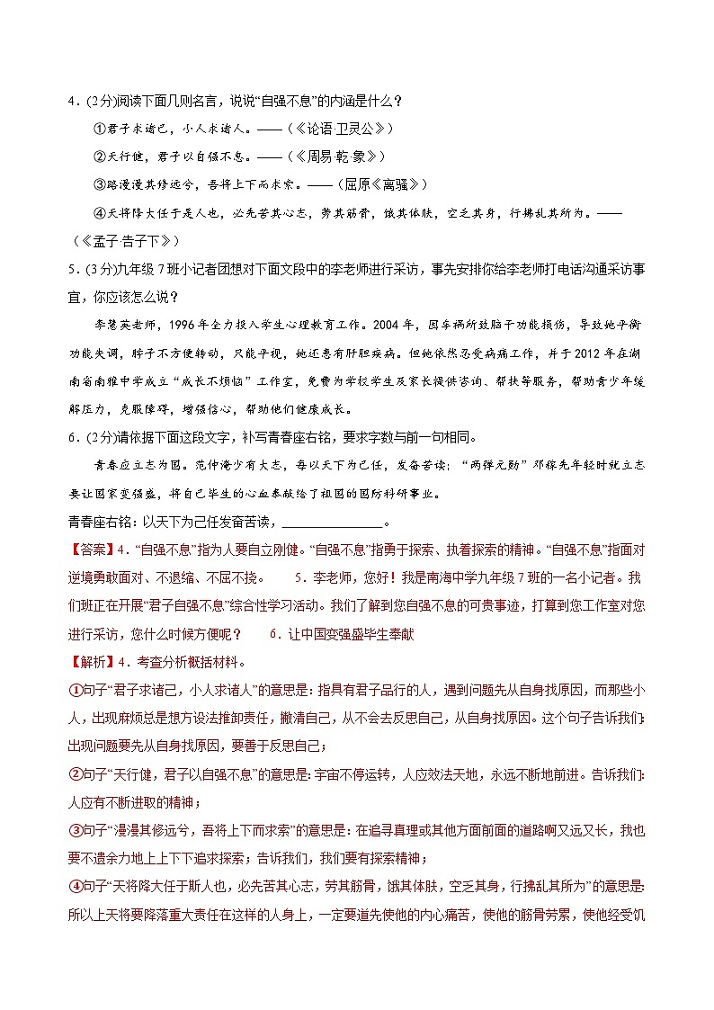 语文（深圳卷）（全解全析）第3页
