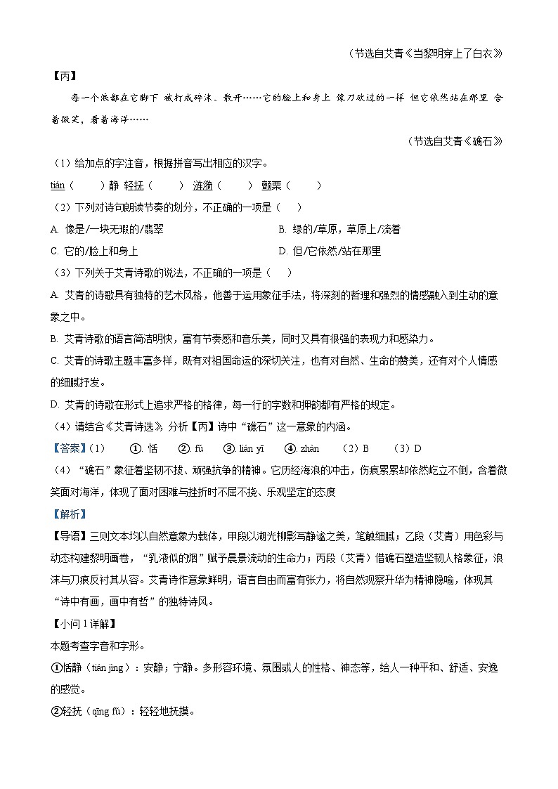 2025年安徽省六安市第九中学教育集团中考一模语文试题（解析版）第2页
