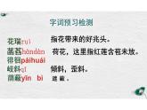 第7課《散文詩二首——荷葉 母親》課件 2025學(xué)年統(tǒng)編版語文七年級上冊