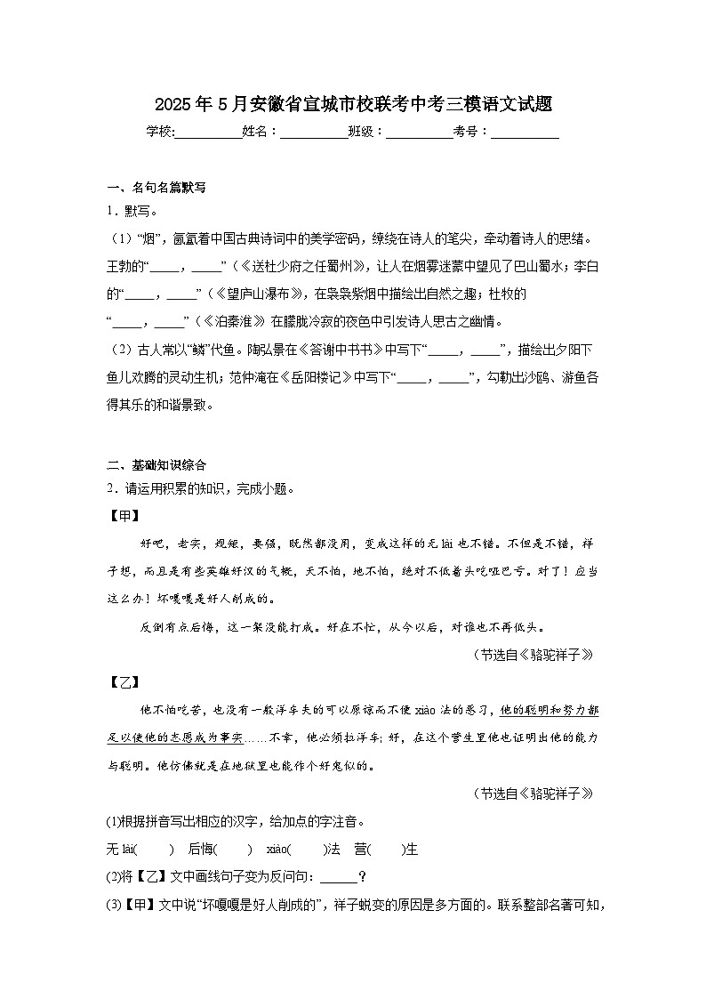 2025年5月安徽省宣城市校联考中考三模语文试题（附答案解析）第1页