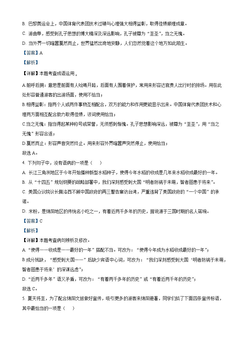 2025年四川省绵阳市三台县中考二模语文试题（解析版）第2页