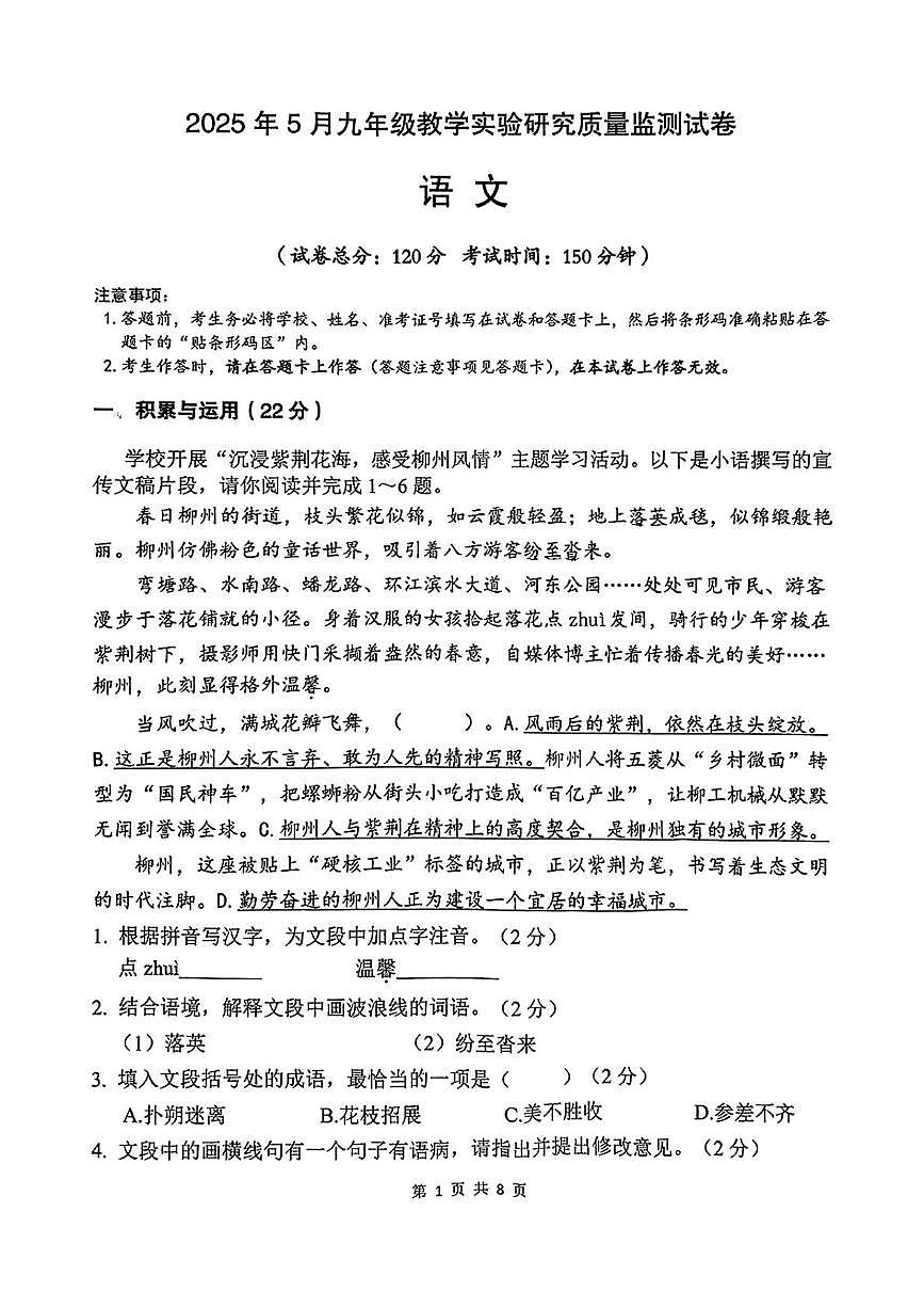 2025年广西柳州市柳南区中考模拟语文试题（中考模拟）第1页