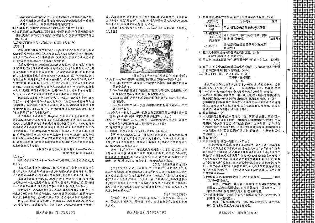 2025年河南省商丘市梁园区中考二模语文试题（中考模拟）第2页