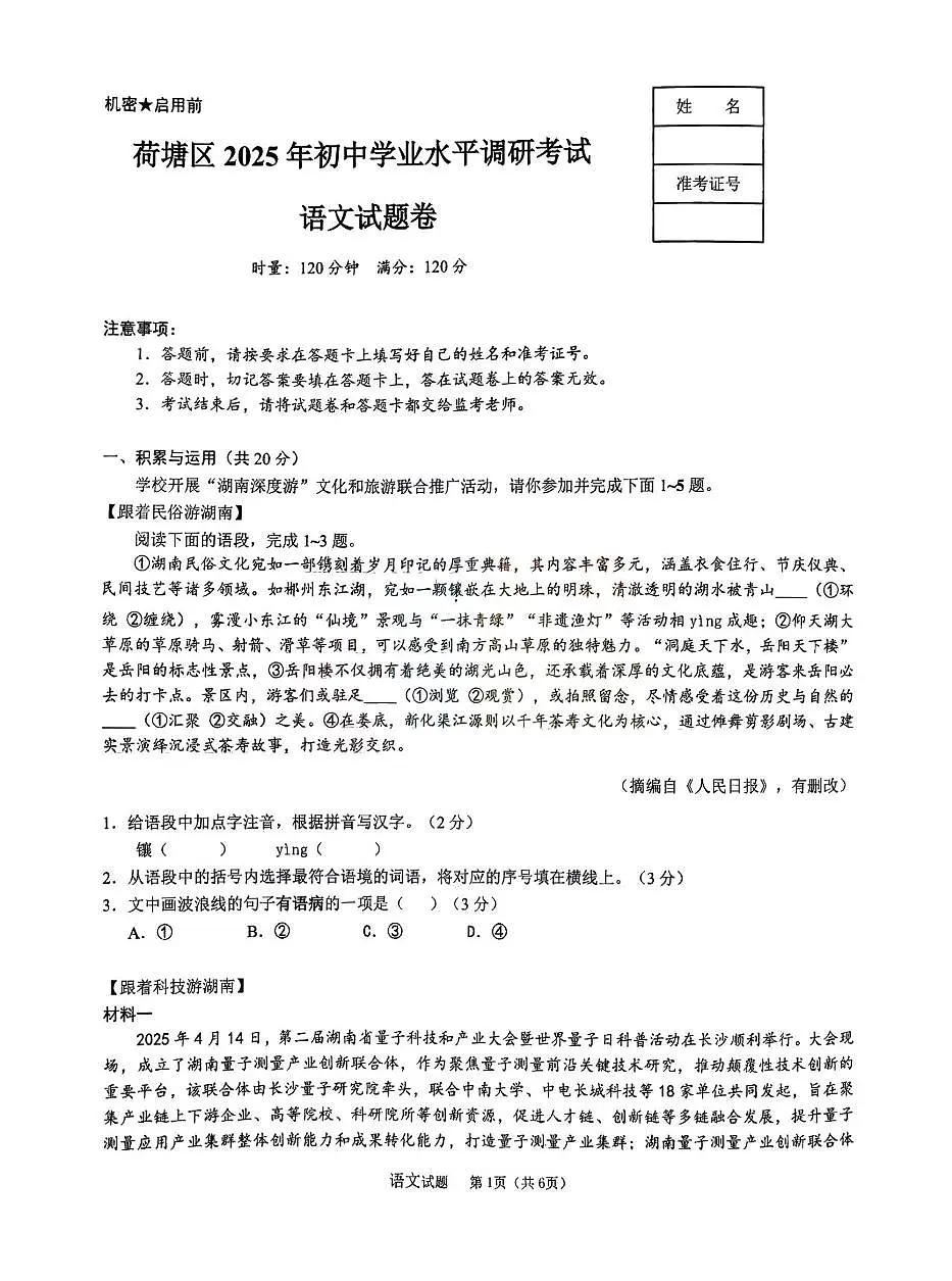 2025年湖南省株洲市荷塘区中考三模语文试卷（中考模拟）第1页