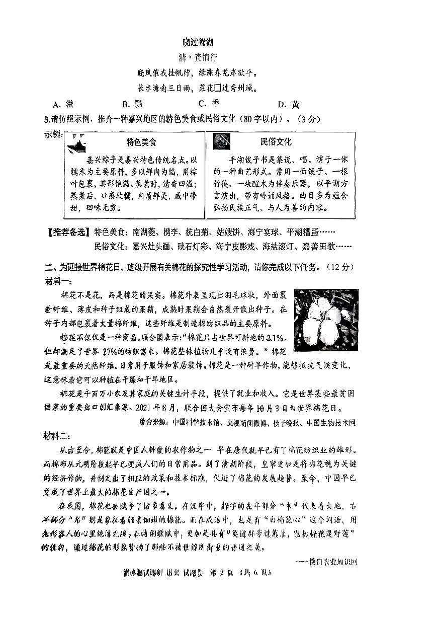 2025年嘉兴市中考市统测一模语文试卷含答案第2页