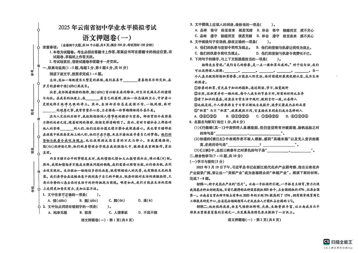 云南省昭通市昭阳区2024-2025学年九年级下学期5月月考语文试题第1页