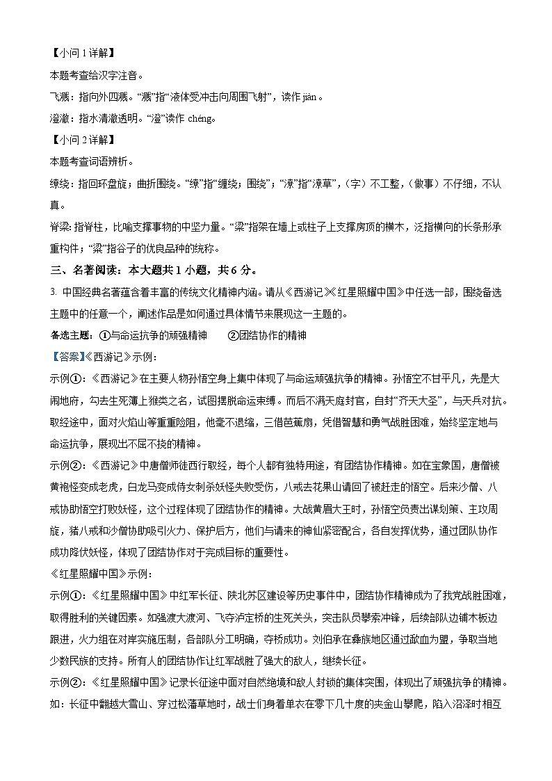 2025年河南省i漯河市实验中学中考二模语文试题（解析）第2页