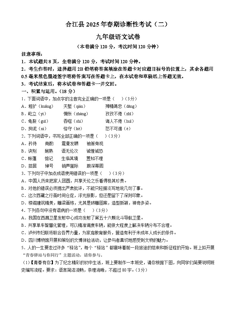 2025年四川省泸州市合江县中考二模语文试题（中考模拟）第1页