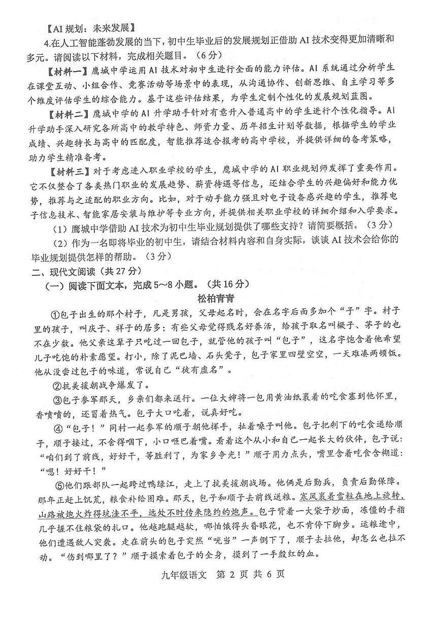 2025年河南省平顶山市中考二模语文试题第2页