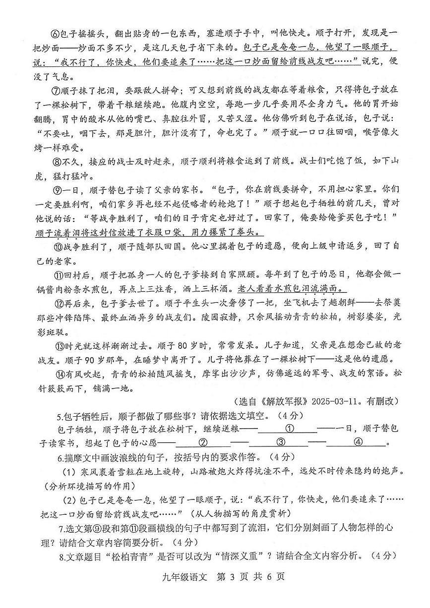 2025年河南省平顶山市中考二模语文试题第3页