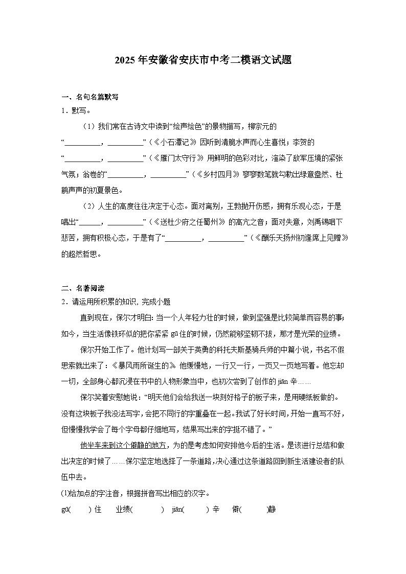 安徽省安庆市2025年中考二模 语文试题（含解析）第1页