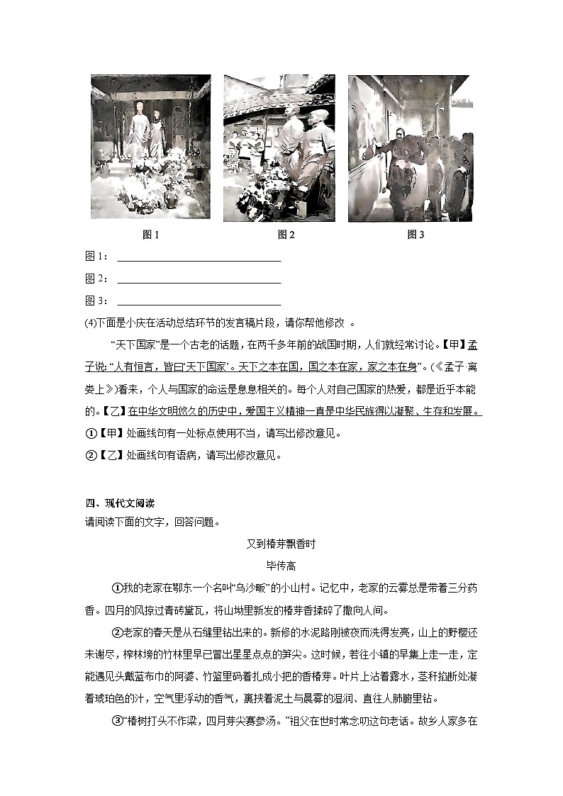 安徽省安庆市2025年中考二模 语文试题（含解析）第3页