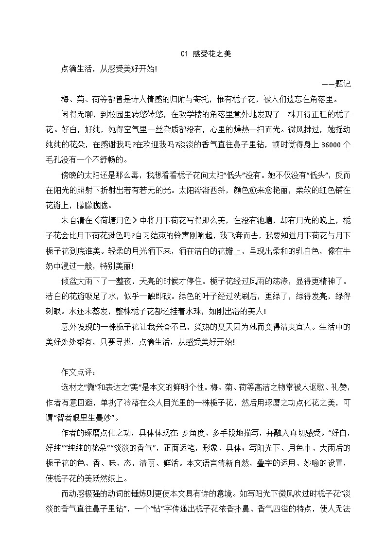 自然美景类作文范文合集-2025年中考语文作文热点新闻写作素材讲练（全国通用）第3页