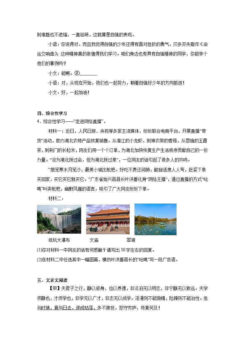 广东省湛江市雷州市雷州市三校2025年4月中考二模 语文试题（含解析）第3页