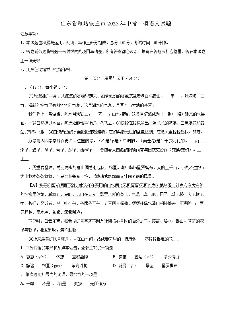 山东省潍坊安丘市2025年九年级中考一模语文试题（含答案）第1页