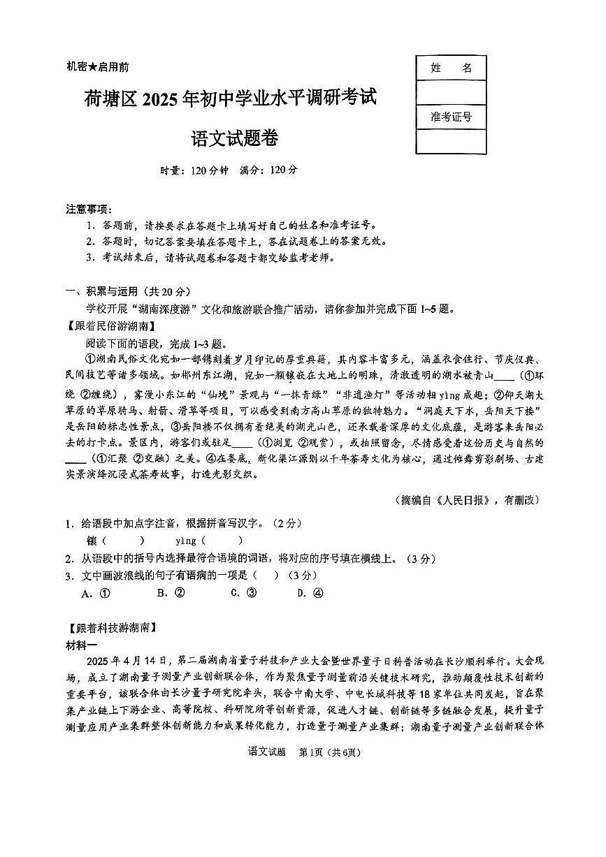 2025年湖南省株洲市荷塘区中考三模九年级语文试卷第1页