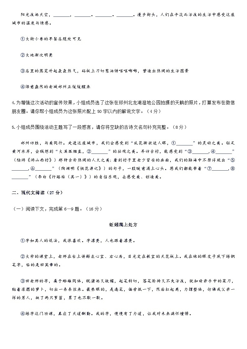 2025年河南省洛阳市洛邑初中初中毕业生中考适应性考试语文试题（含答案）第2页