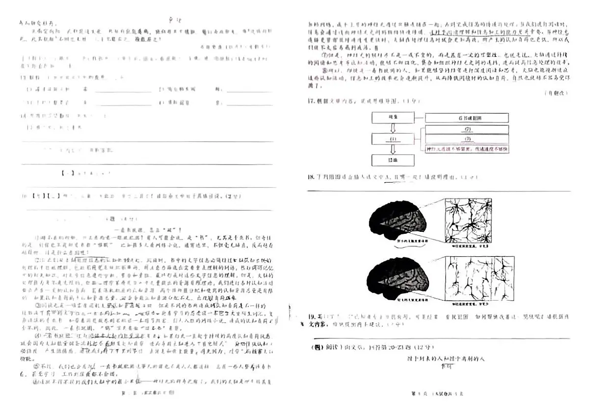 云南省曲靖市麒麟区第七中学2024-2025学年九年级下学期第五次月考语文试卷第3页