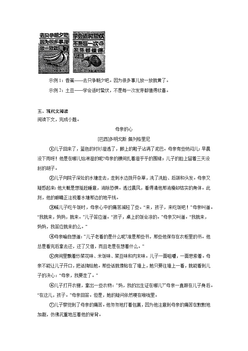 河南省郑州市2025年4月中考二模 语文试题（含解析）第3页