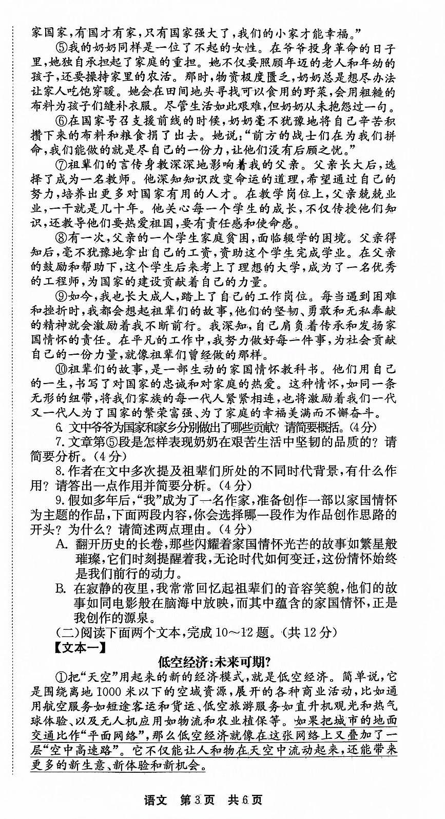 2025年河南省平顶山市叶县中考模拟语文试题第3页