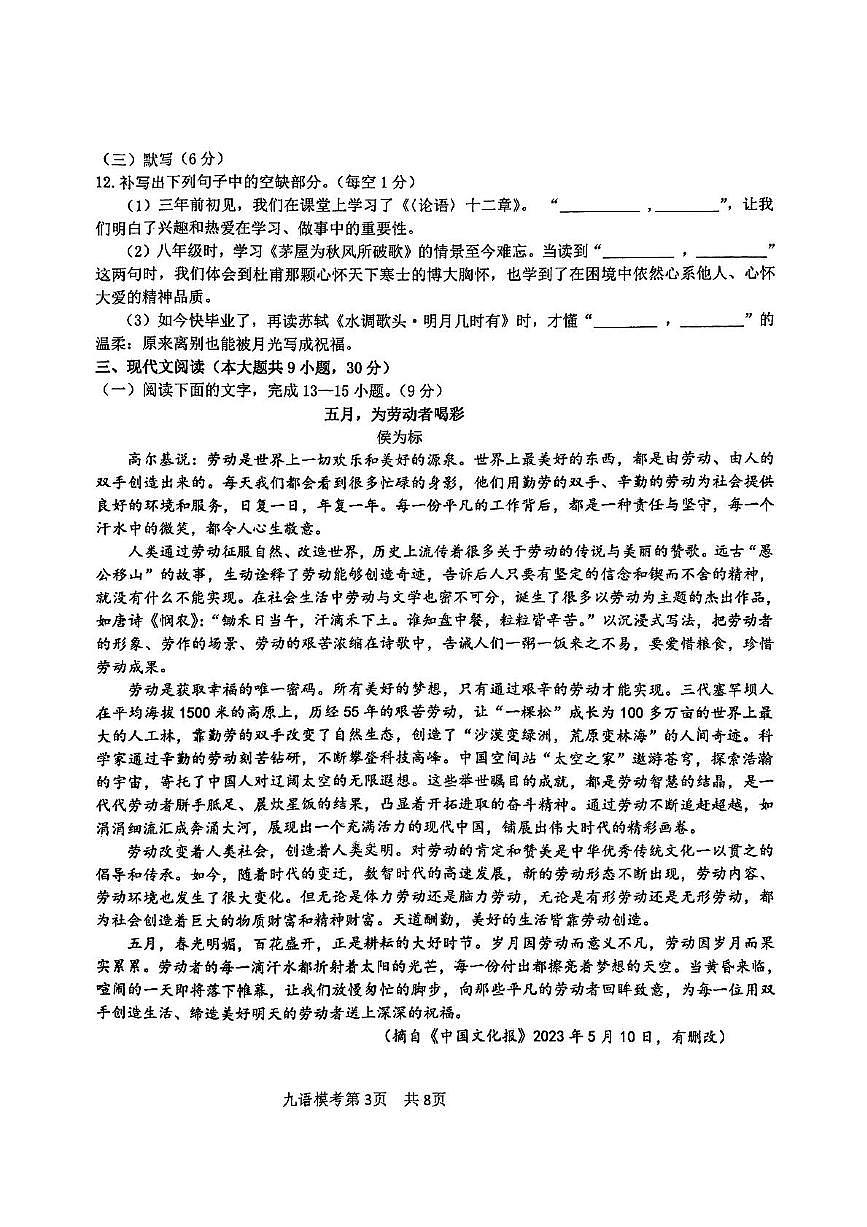 2025年江西省吉安市中考模拟考试语文试题第3页