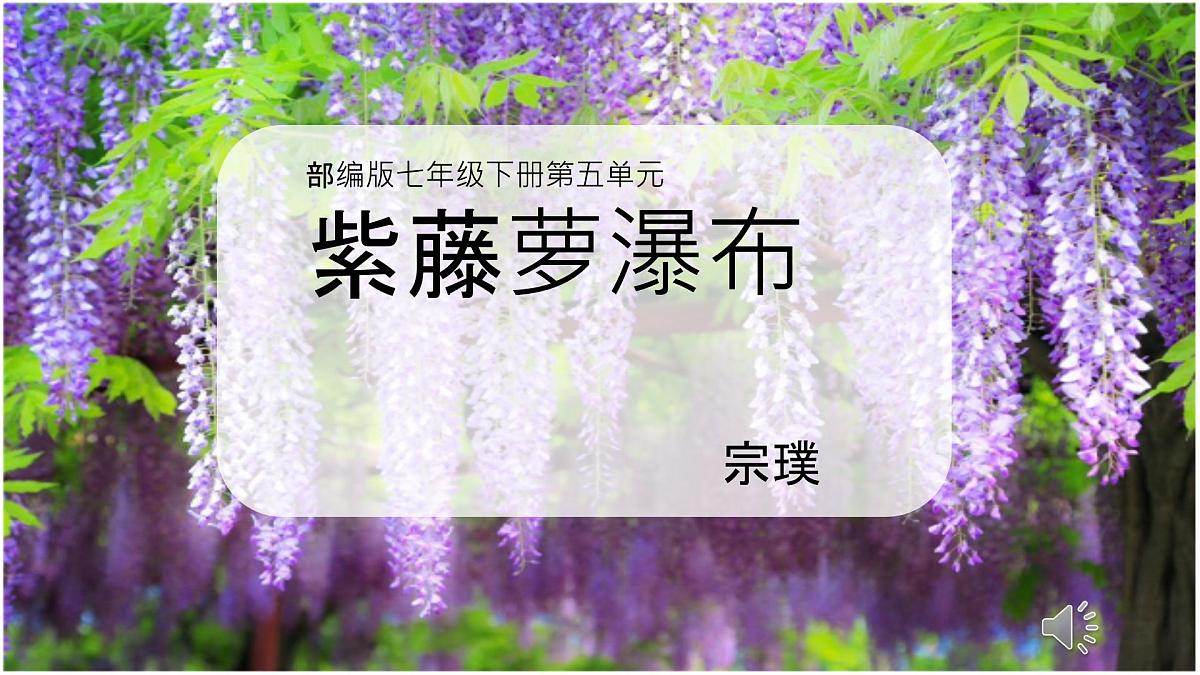 第19课《紫藤萝瀑布》课件-2024-2025学年统编版语文七年级下册第3页