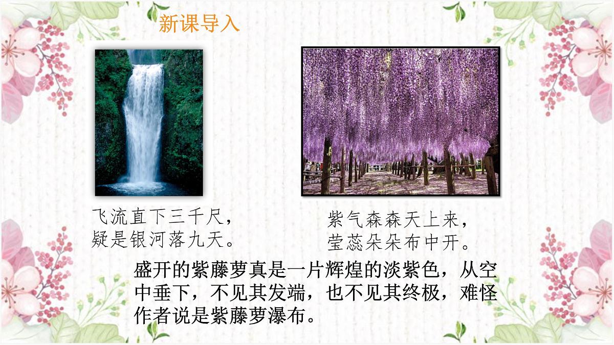 第19课《紫藤萝瀑布》课件-2024-2025学年统编版语文七年级下册第5页