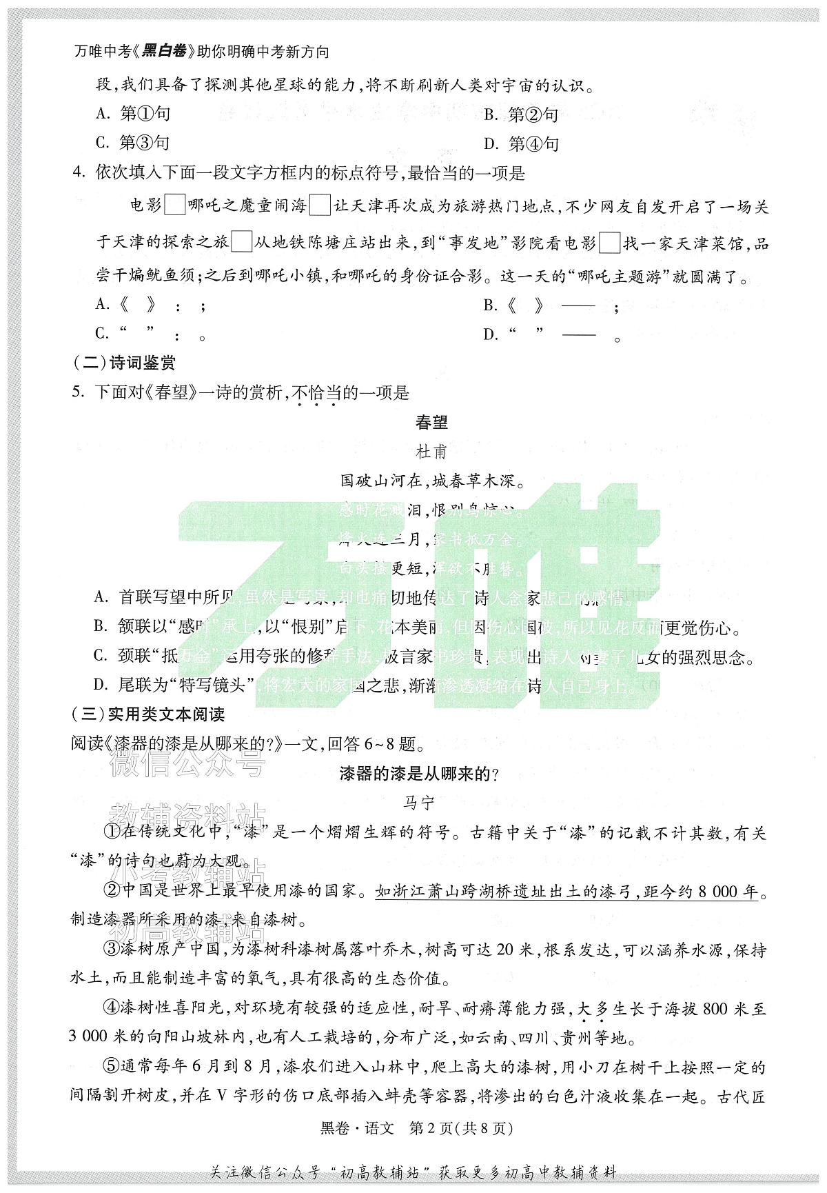 2025《万唯中考•天津黑白卷》语文黑卷第2页