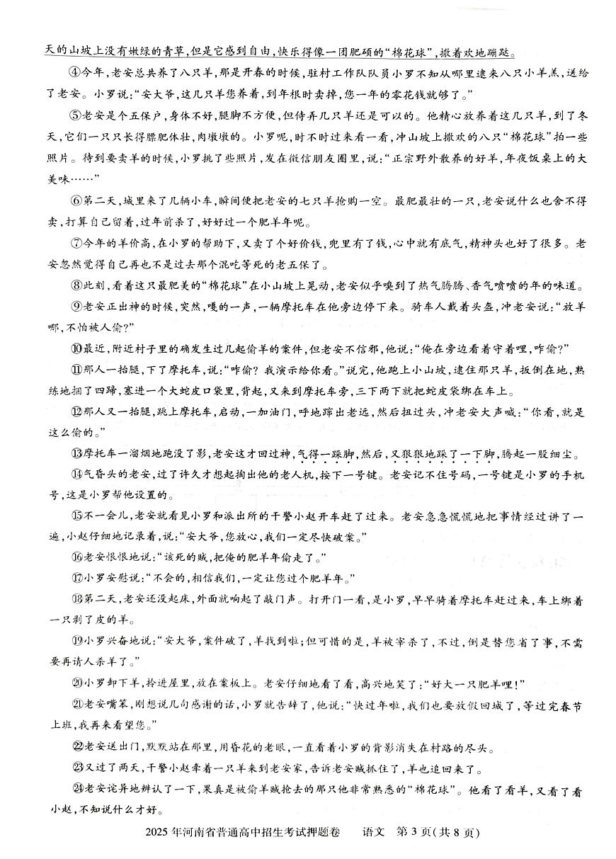 2025年河南省漯河市源汇区中考三模语文试题第3页