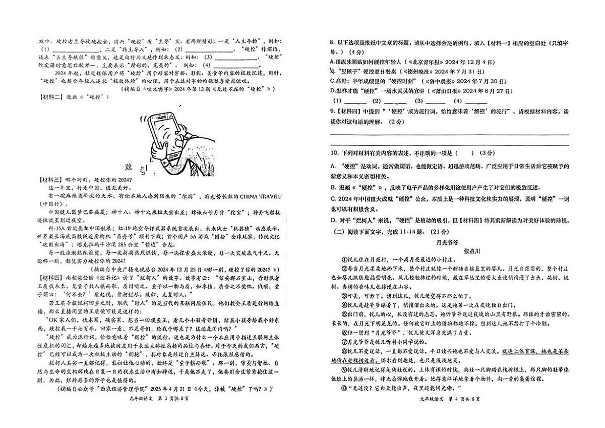 2025年陕西省 西安高新第一中学中考七模语文试卷（中考模拟）第2页