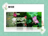 部編版語文七年級(jí)下冊(cè)17《愛蓮說》課件