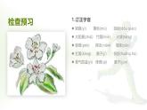 部編版語文七年級下冊14《驛路梨花》課件