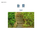 部編版語(yǔ)文七年級(jí)下冊(cè)12《臺(tái)階》課件