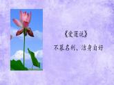 19 紫藤蘿瀑布 課件統(tǒng)編版七年級語文下冊