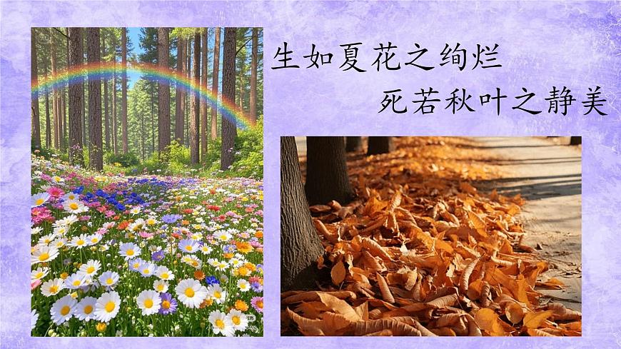 19 紫藤萝瀑布 课件统编版七年级语文下册第3页