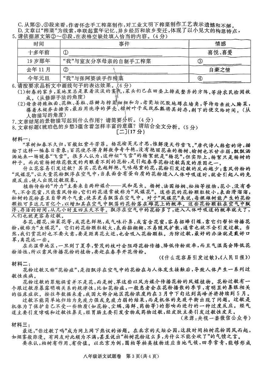 安徽省阜阳市第十八中学2024-2025学年八年级下学期5月月考语文试题第3页
