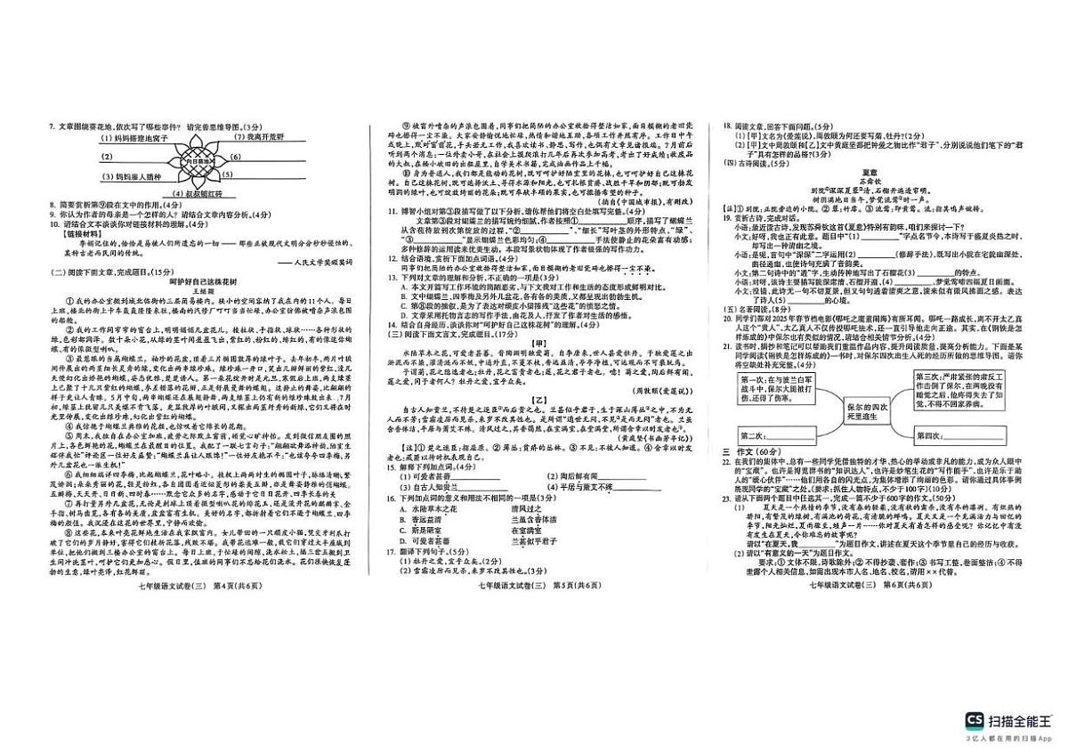 甘肃省陇南市成县城关中学2024—2025学年七年级下学期5月月考语文试题第2页